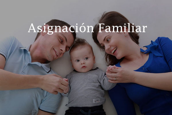 Bono de fin de año para SUAF