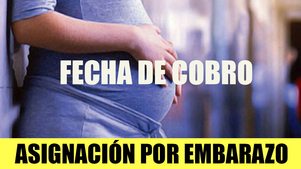 Fechas de cobro Asignación por Embarazo ENERO 2020