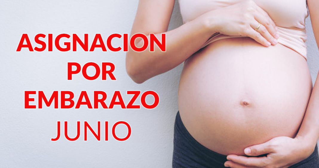 Asignación por Embarazo JUNIO