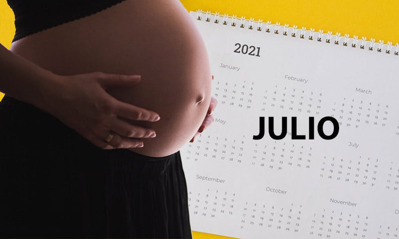Asignacion universal por Embarazo Julio